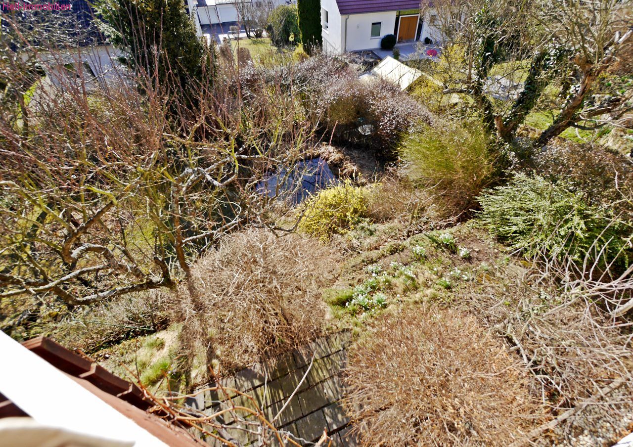  Garten mit Teich